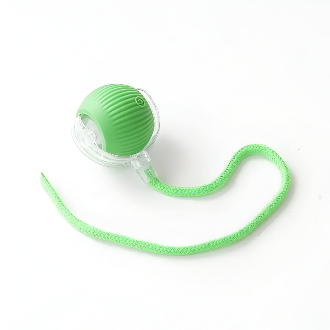 Smart Rolling Cat Ball  - Buy 1  Get  1 Free !
